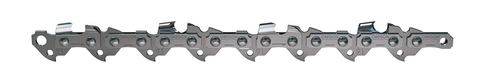 Amazon.com: Oregon 91PX045G 45 Drive Link Chamfer Chisel